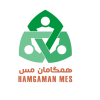 فنی و مهندسی خدماتی همگامان مس